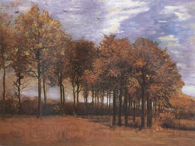 Vincent Van Gogh Autumn Landscape (nn04)